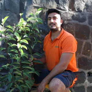 Mario con la Viburnum Lucidum