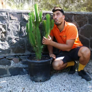 Mario con euphorbia_ingens